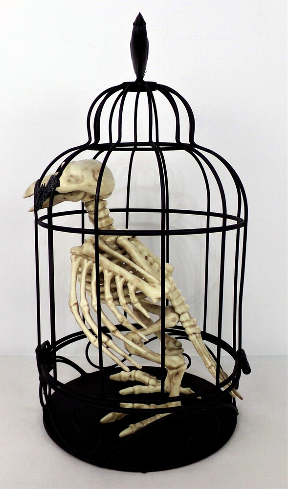 Halloween Skeleton Bird in Cage