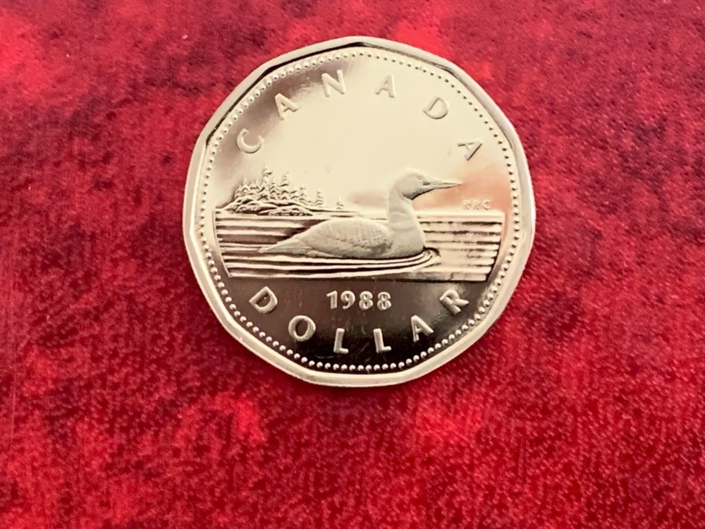 Canada 1 Dollar 1988 Proof Coin-Uncirculated