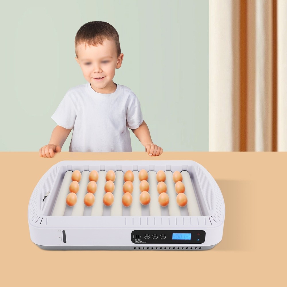 Automatic 35 Egg Incubator Chicken Quail Hatcher Incubators for Hatching Eggs