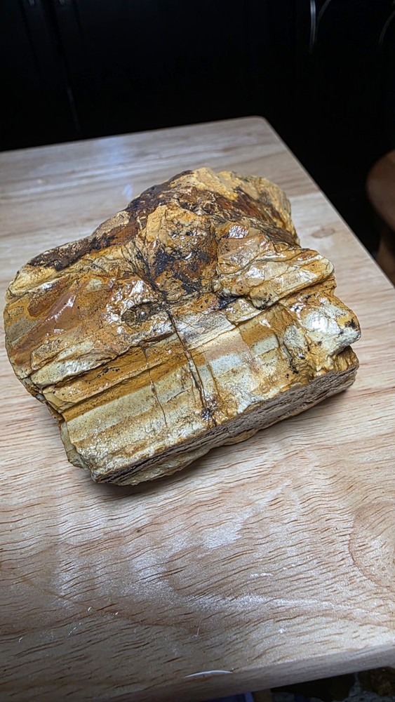 owyhee picture jasper