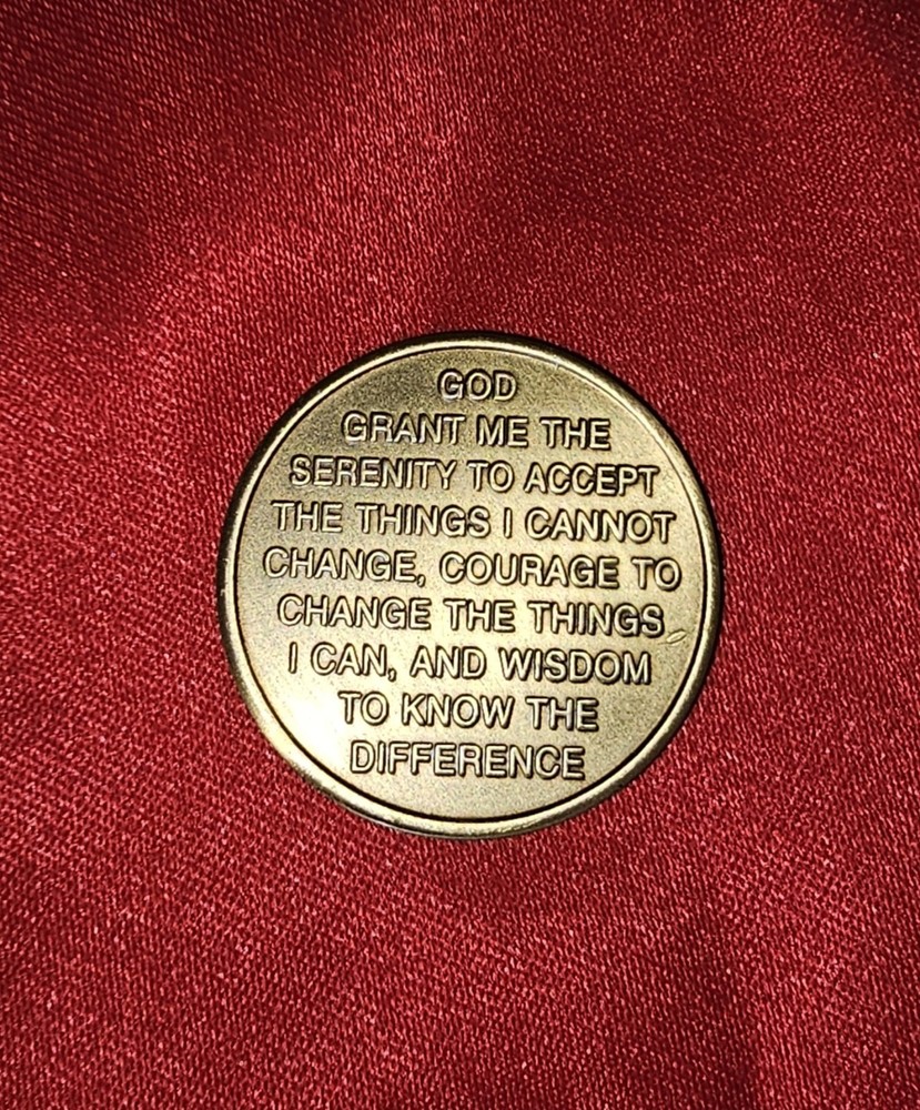 One Day At a Time AA Camel Brass Coin