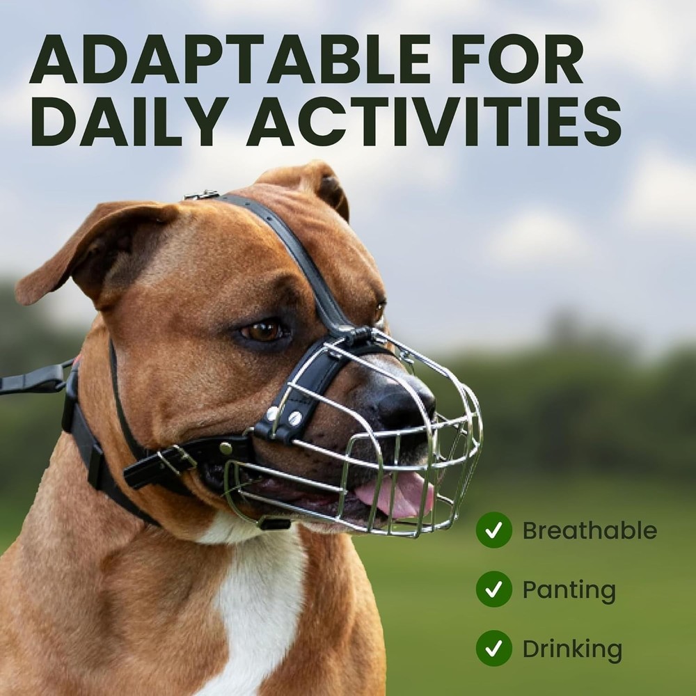 Pitbull Dog Muzzle Metal Mask Amstaff Wire Basket Pit Bull Adjustable Leather