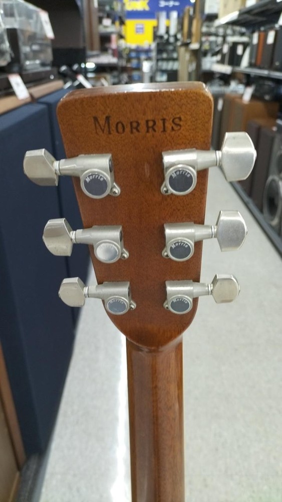 MORRIS MD-510 Acoustic