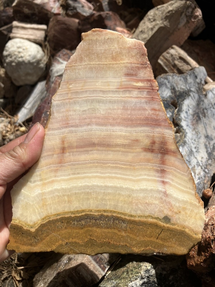 Honey Onyx Slab