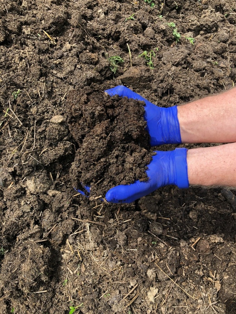Walnut Meadow Horse Manure Compost: Rain-Leached, Damp, 16 lb.