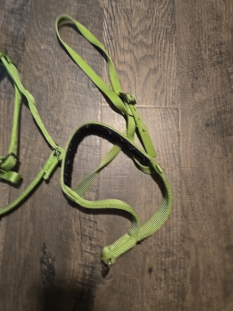 western headstall