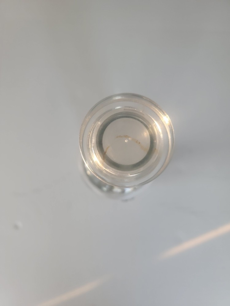 The Diamond Standard Vodka Bottle Empty with Crystal