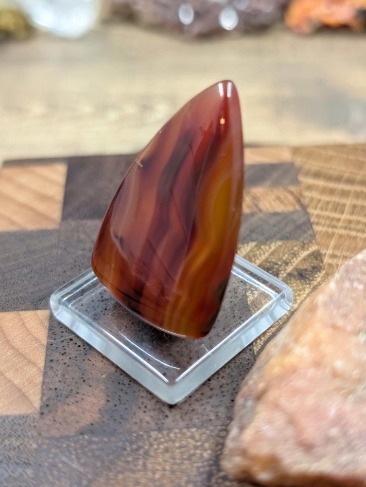 Carnelian - Morocco - 1 pc Cabochon