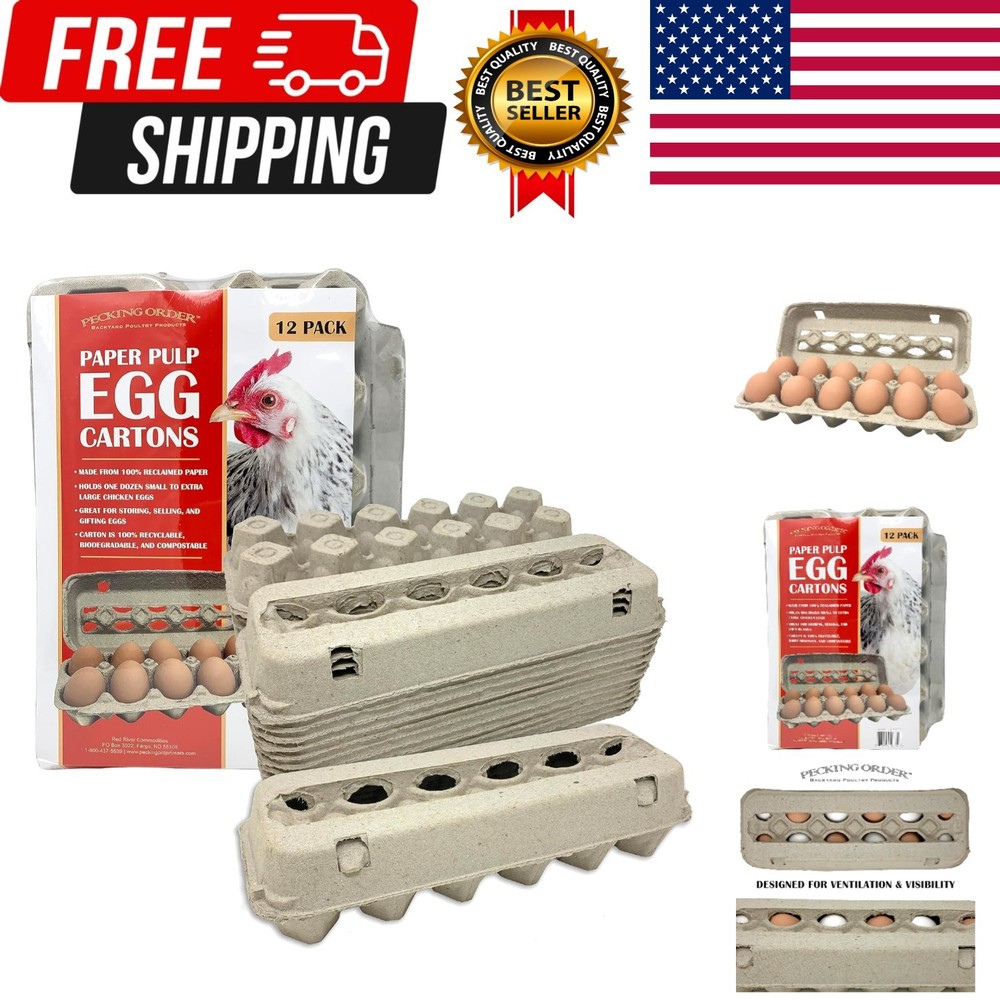 Paper Pulp Egg Cartons - 12 Pack Grey