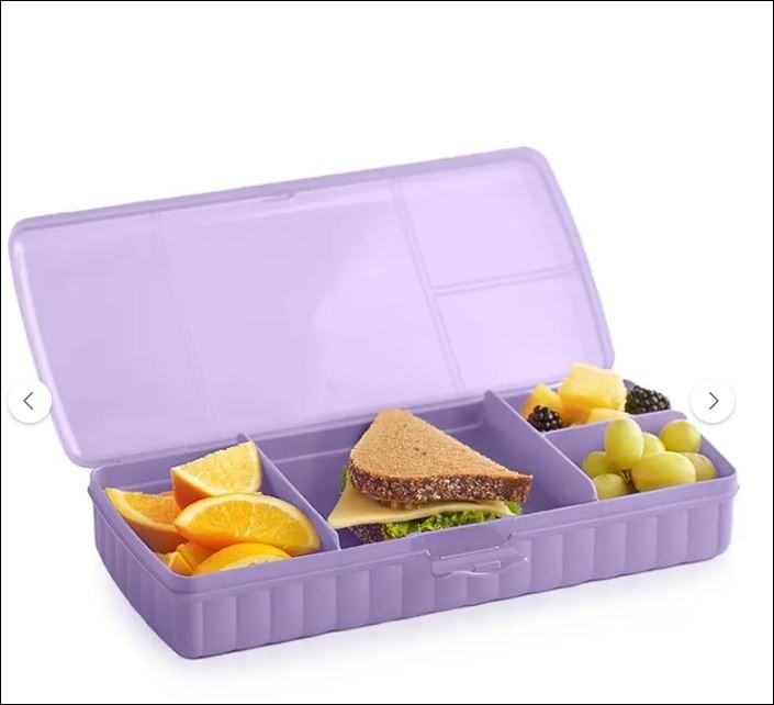 Tupperware Lunch Box Blue Container / Divided Storage Box