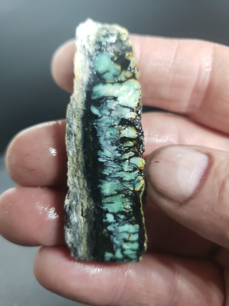 Nevada Saguaro Variscite Slab