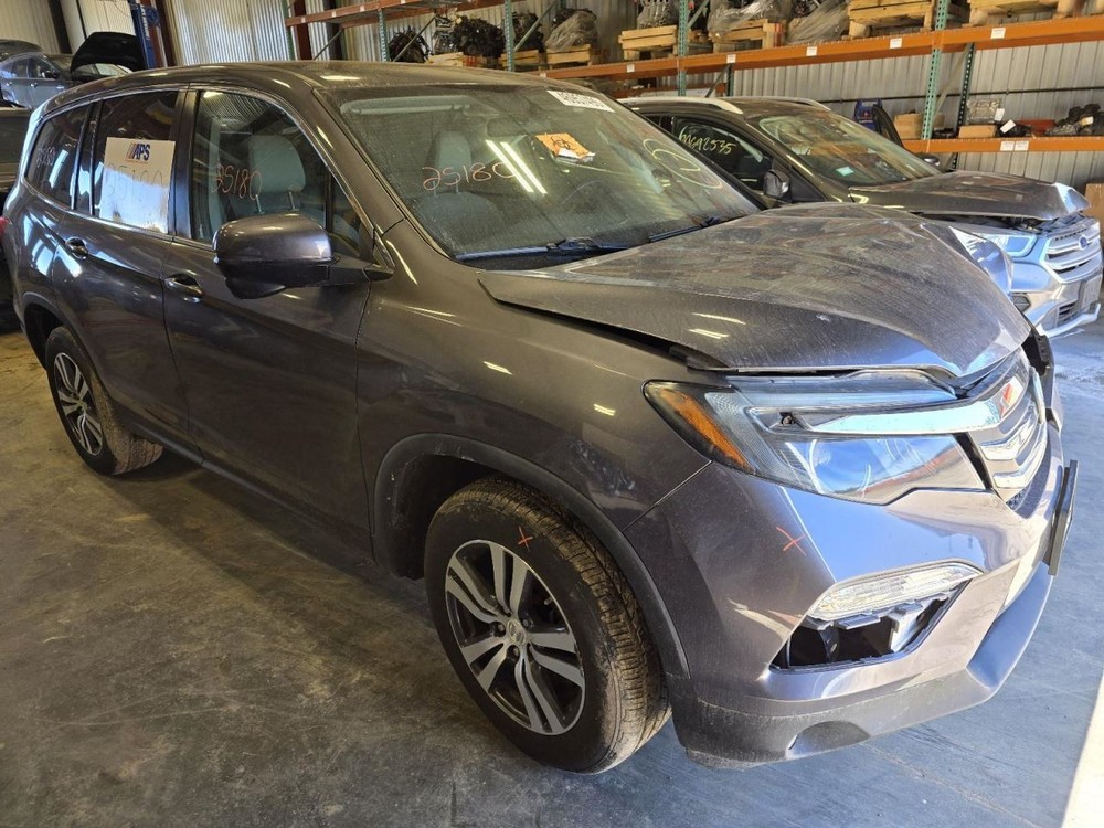 PILOT 2017 Jack 1552265