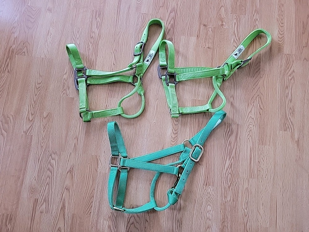 5 New Various Brand Halters