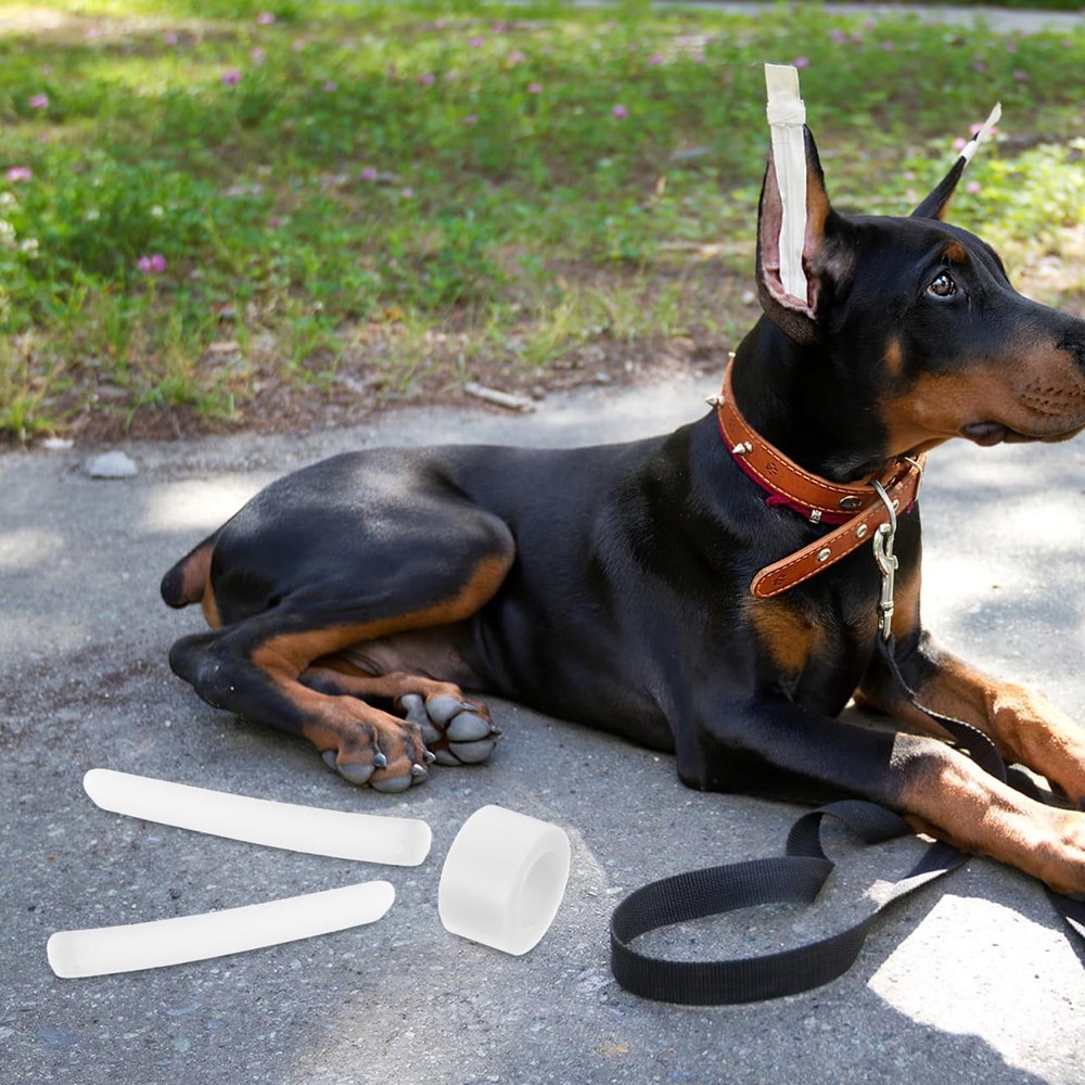 Dog Ear Posting Kit - 4 Pcs Support Tool for Standing Dog Ears
