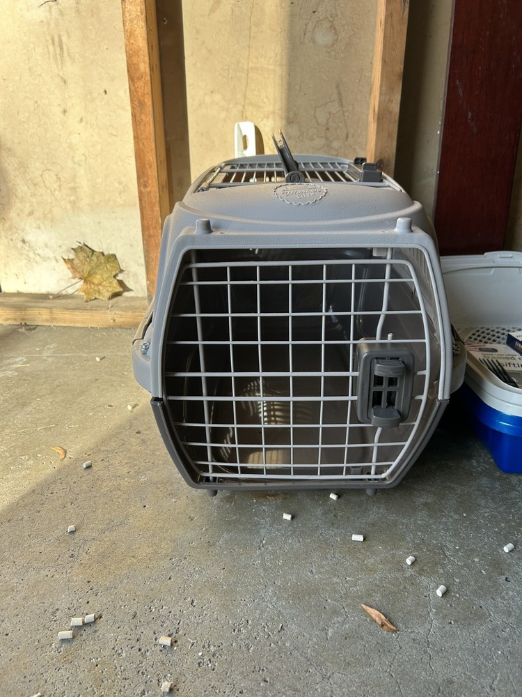 Cat Items