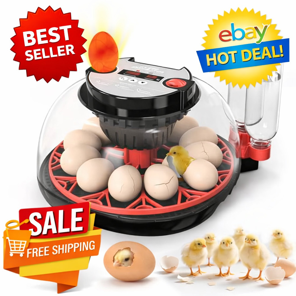 12 Egg Automatic Incubator Digital LED Display Temperature Control Poultry Hatch