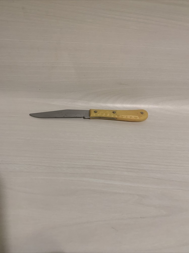 Colonial Prov stainless knife