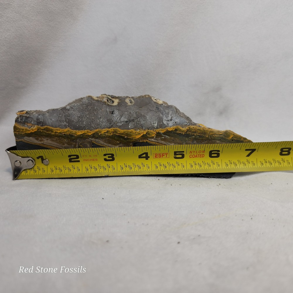 Bumblebee Jasper Slab