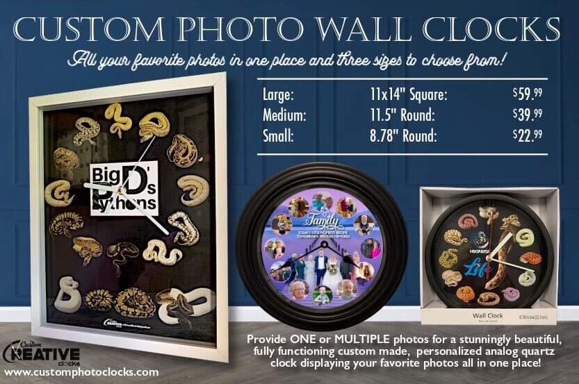 Bearded Dragon Clocks