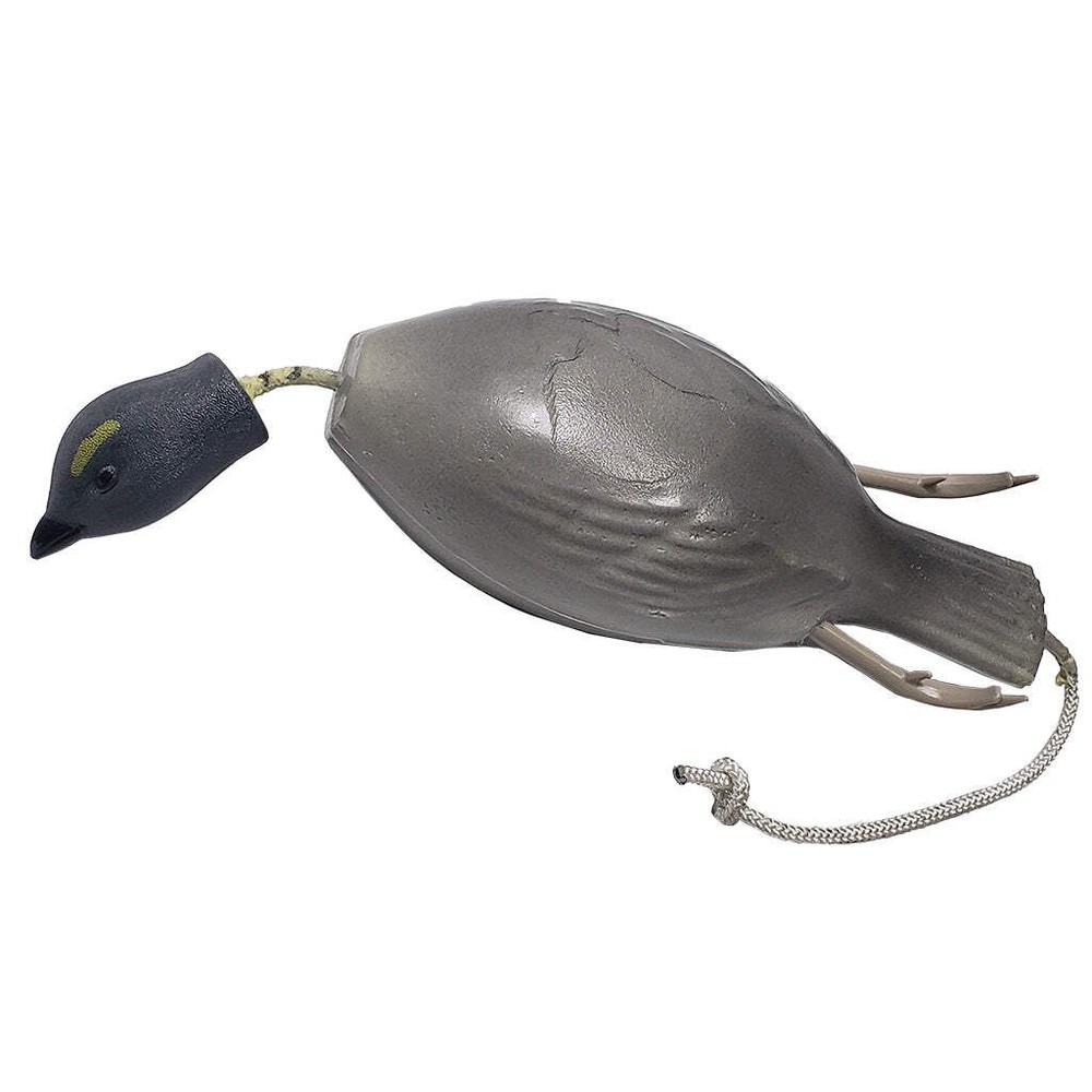 Dead Fowl Blue Grouse