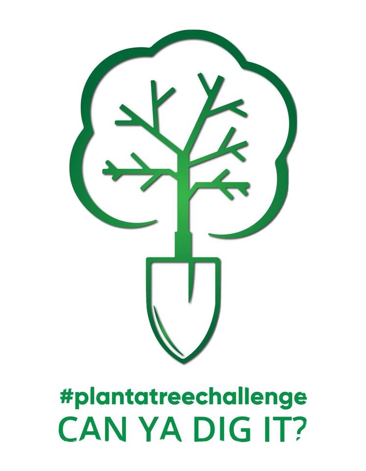premium domain names PlantATreeChallenge.com .net .org