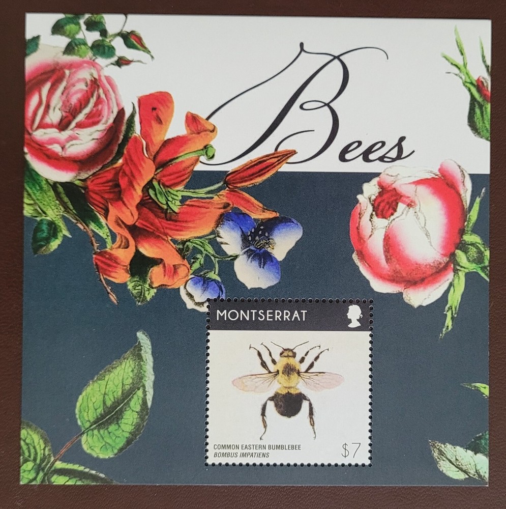 Montserrat 2015 / Insects - Bees  / 1v ms