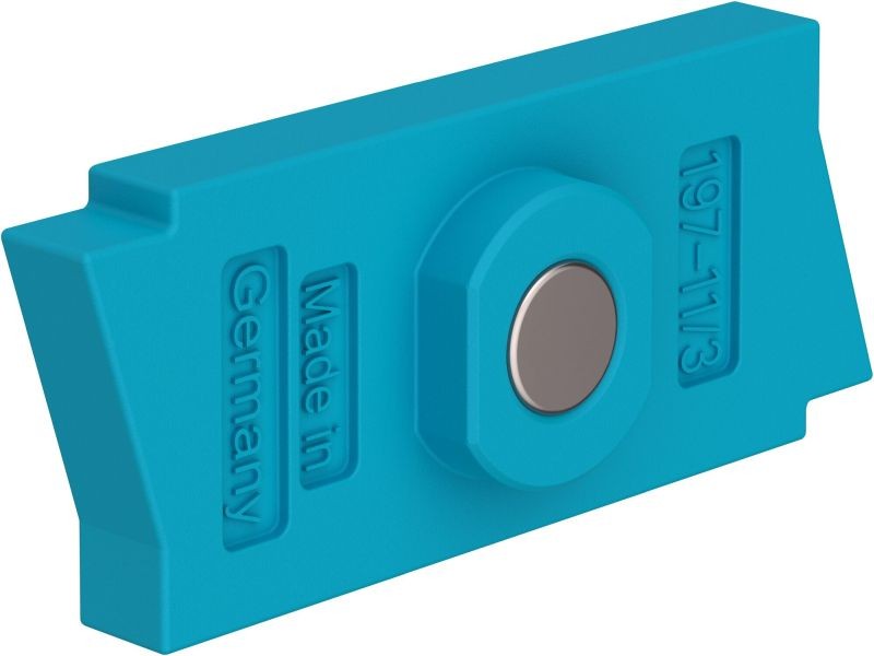 Magnet