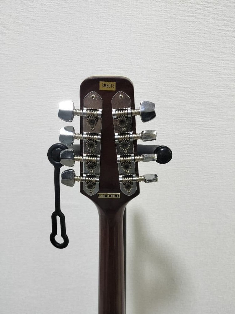 Samick Samick Mandolin sm20ts