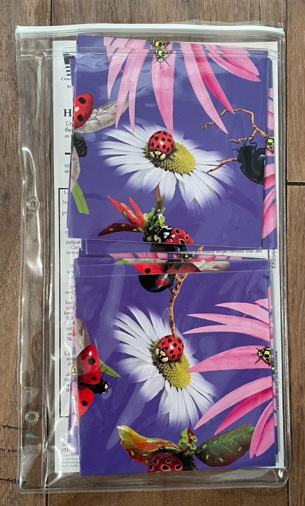 New Square-Piece Ladybug Puzzle