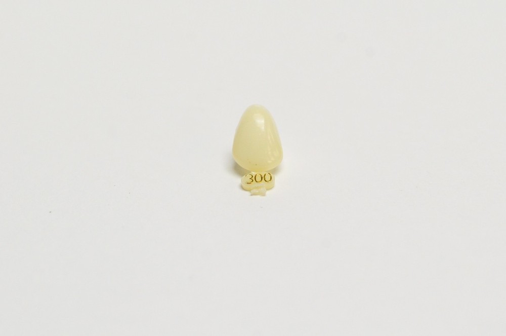 DENTAL POLYCARBONATE TEMPORARY CROWNS #300 (URC) UPPER RIGHT CUSPIDS 5/PACK