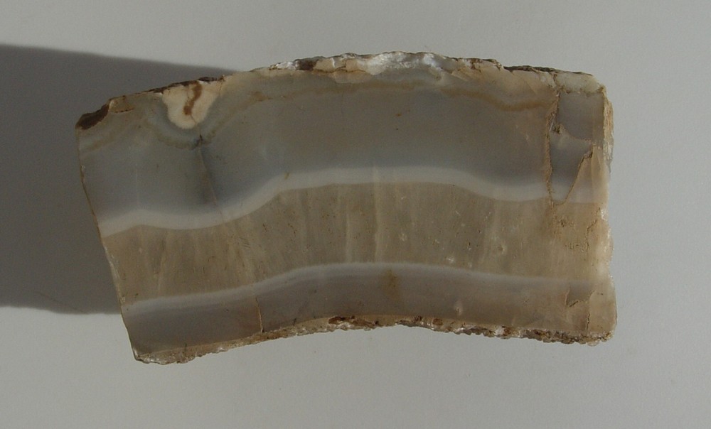 White Seam Agate Small Lapidary Rough T1043