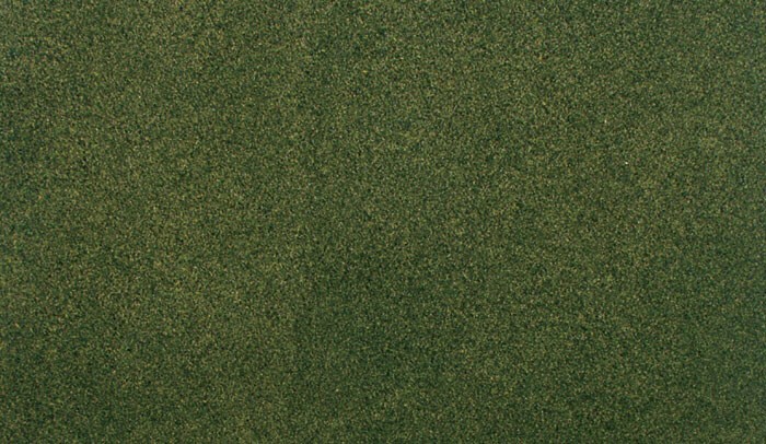 Forest Grass Roll 25 x 33
