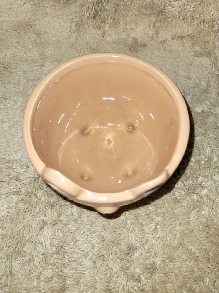 Brown Bear Small Ceramic Decorative Succulent Planter~ Trinket, Soap Sponge Dish
