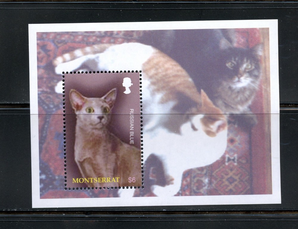 C614  Montserrat  2004   cats   sheet       MNH