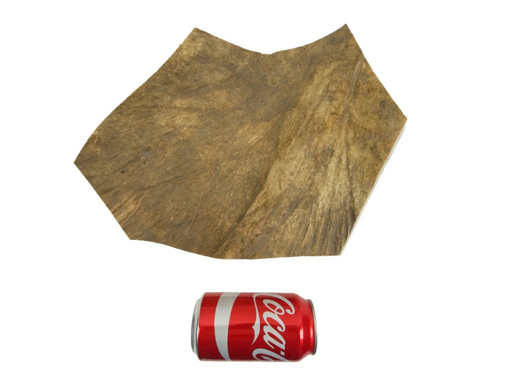 Moose Antler Palm (513-PC-G2460) Y1E