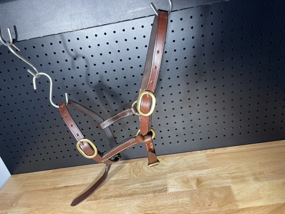 Leaders Foal Size Leather Halter!