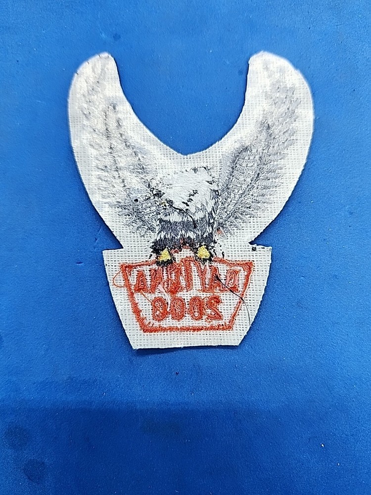 New Harley Davidson Daytona 2000 Patch w/ Winged Eagle