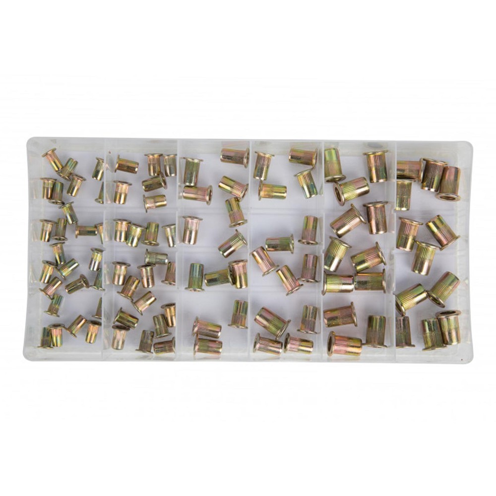 Bluespot 100 Pce Nut Rivets (M3 - M6) Mixed Selection