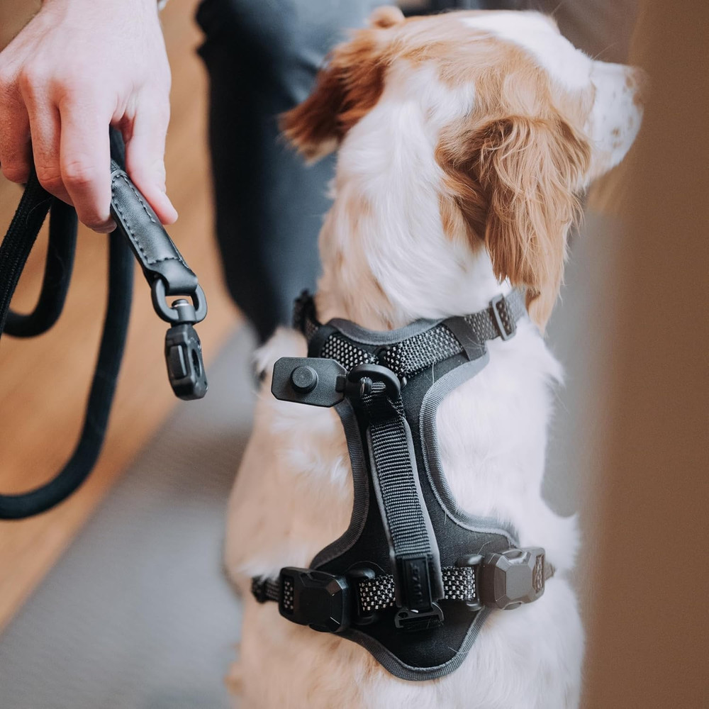Magnetic Quick Clip: Control Harness - Black, Small