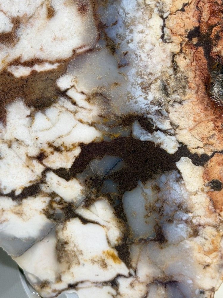 Nevada Desert Fire Jasper Slab, Lot#190