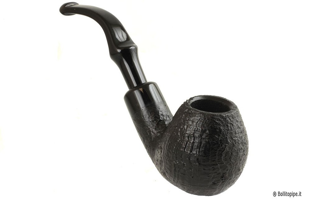 Peterson Halloween 2025 System Standard B42 “Darwin“