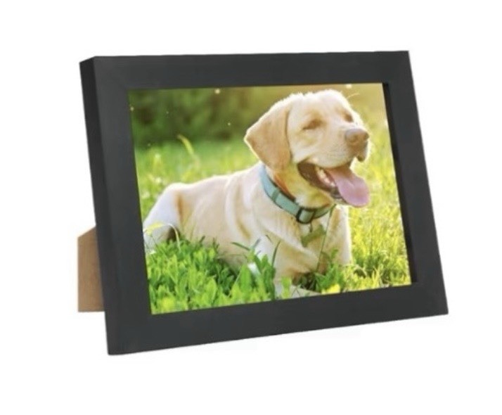 10 Pieces Photo Frames, For Wall or Table. 12 CM X 17 CM.