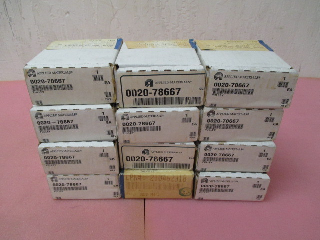 AMAT 0020-78667 Pulley
