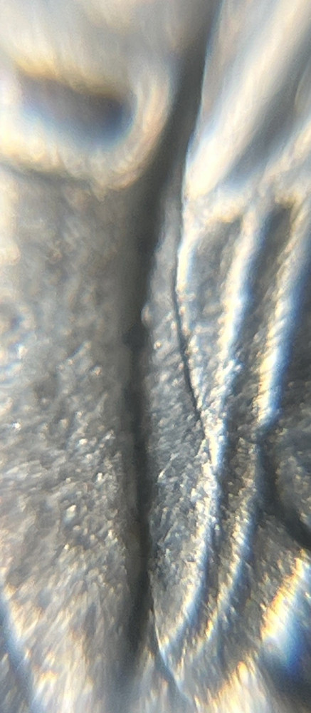 1953 Washington Silver Quarter Errors Die Cracks Reverse Uncirculated