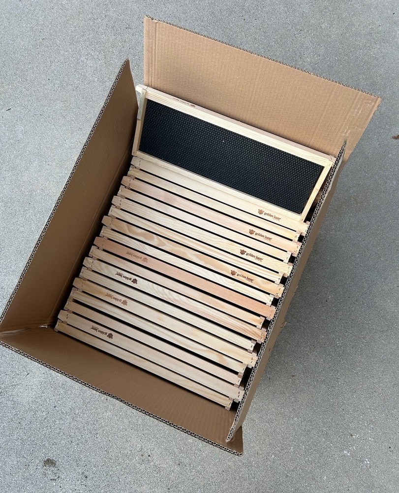 40pack Wooden Medium Beehive Frame and black Foundation Double Wax BeeKeeping￼