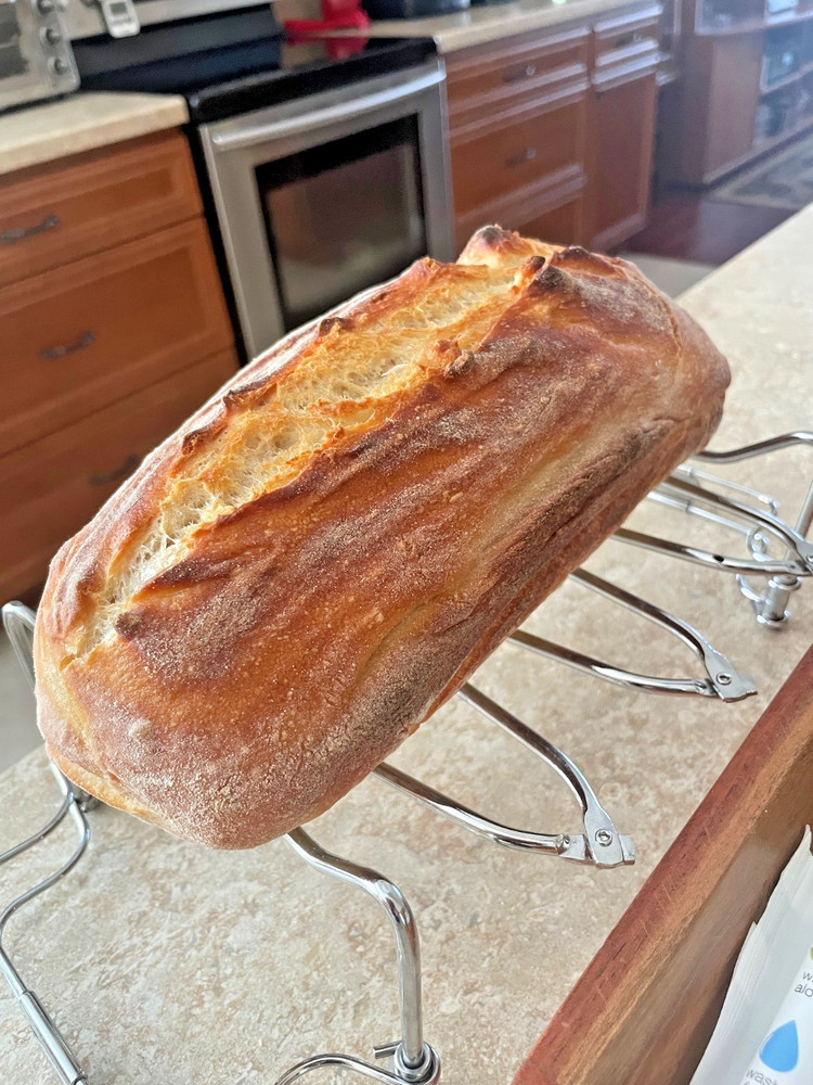 GREAT Bread/Sourdough making set