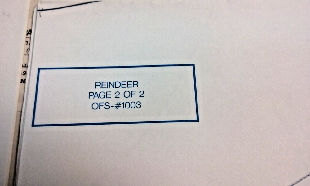 vintage Craft Patterns Home Workshop Reindeer Plan with Envelope