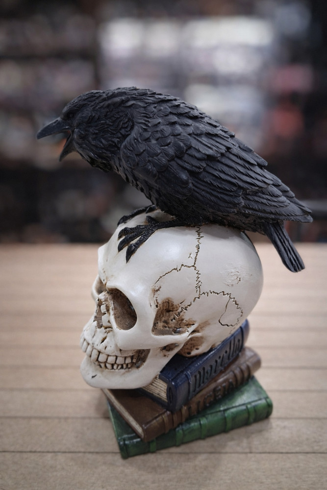 Raven Perched on Skull Gothic Book Stack Figurine