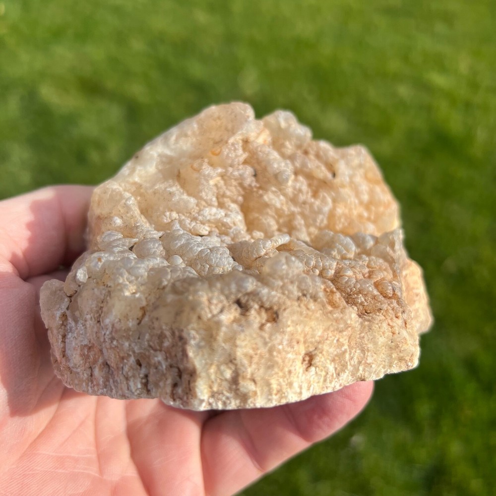 Succor Creek Botryoidal Agate Specimen 658gm (Y2)