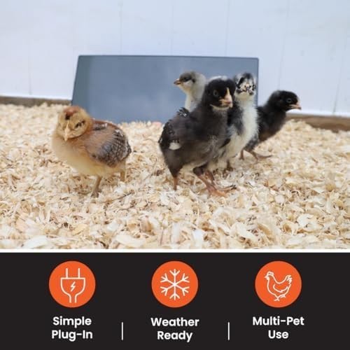 Cozy Chicken Coop Heater 200 Watts Flat Panel Design Energy Efficient Black